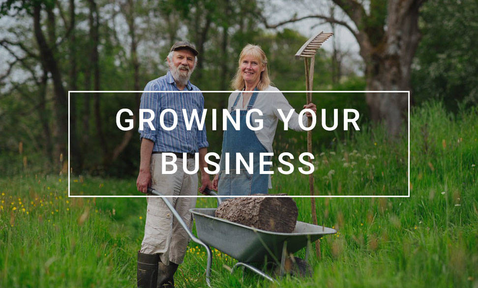 Growing-your-business