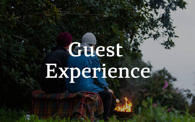 Canopy and Stars - Guest Experience