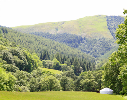 meadow-yurt
