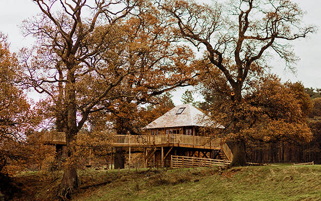 Netherby Treehouse 1