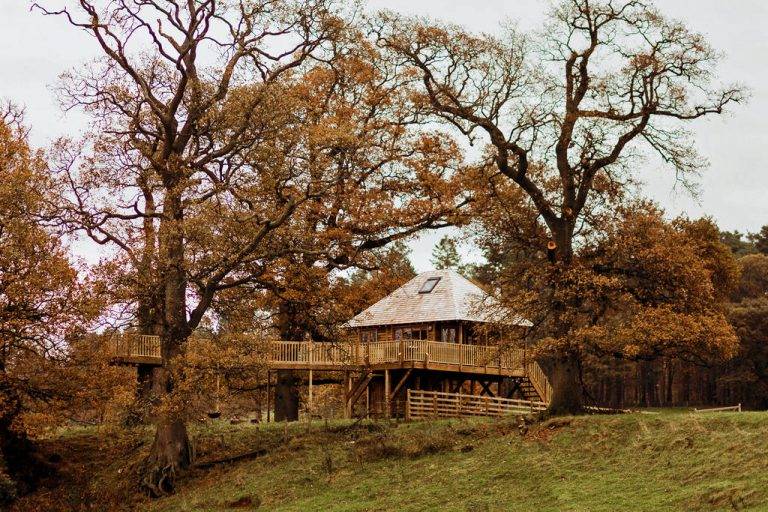 Netherby Treehouse