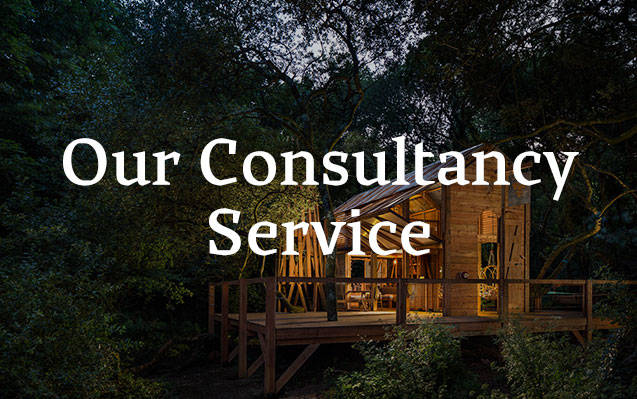 Canopy and Stars - our consultancy service
