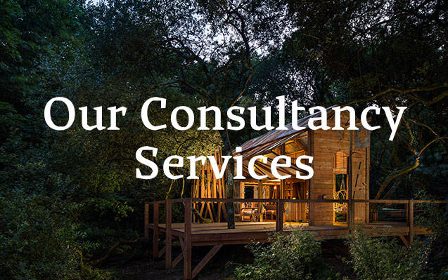 Our consultancy services