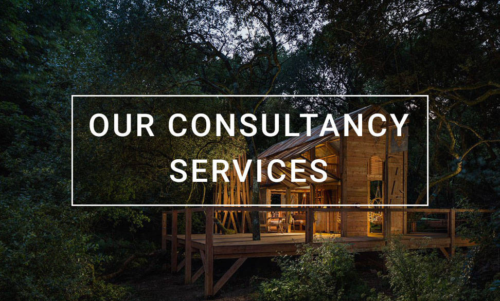 Our-consultancy-services