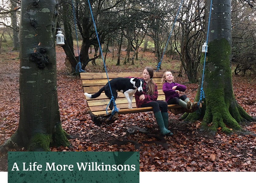 Story1_Title-Recovered