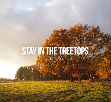 Stay in the treetops
